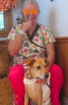 Image for Breton Veterinary Hospital with ID of: 4591072
