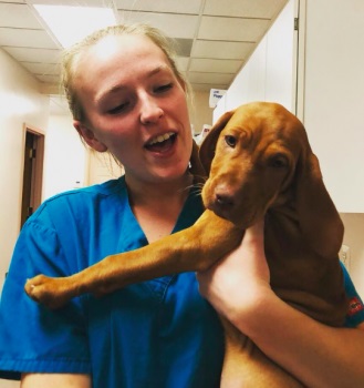 Image for Breton Veterinary Hospital with ID of: 4591073