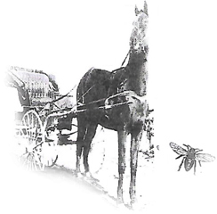 Image for Opera House Antiques & Uniques with ID of: 2575766