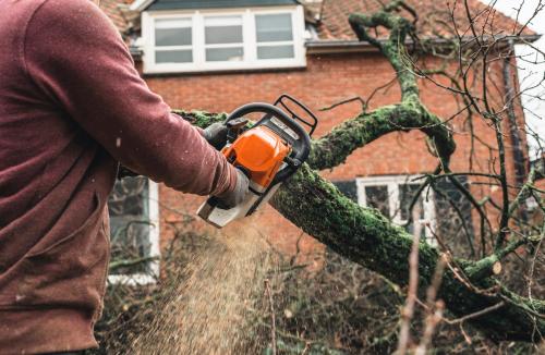 Image for Columbia Tree Co. - Tree Service with ID of: 4600888