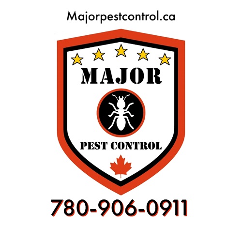 Image for Major Pest Control Edmonton with ID of: 6003260
