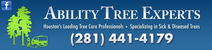 Image for Ability Trees with ID of: 600454