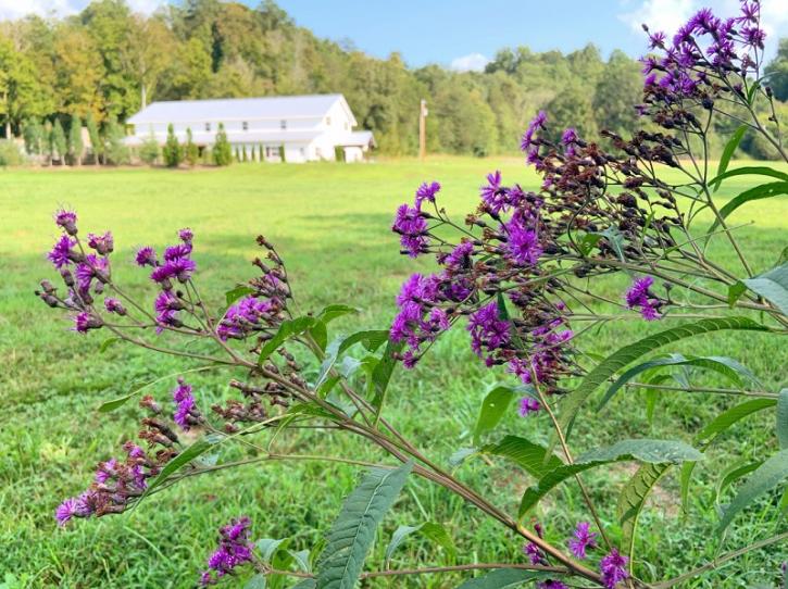 Image for Double Creek Farm with ID of: 4612617