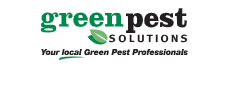 Image for Green Pest Solutions with ID of: 6006380