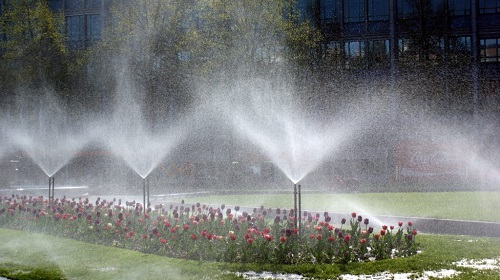 Image for Colorado Sprinkler Service with ID of: 4615588