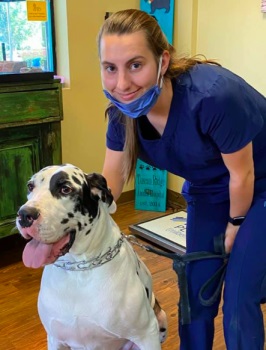 Image for Tuscan Ridge Animal Hospital with ID of: 4615819