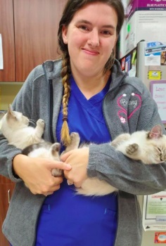 Image for Tuscan Ridge Animal Hospital with ID of: 4615822