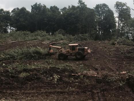 Image for BC Excavating Inc with ID of: 4616142
