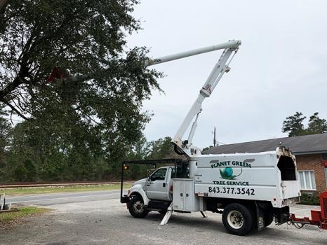 Image for Planet Green Tree Service with ID of: 4616297