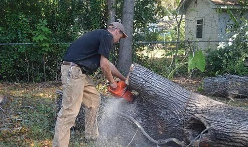 Image for Planet Green Tree Service with ID of: 4616298
