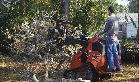 Image for Planet Green Tree Service with ID of: 4616299