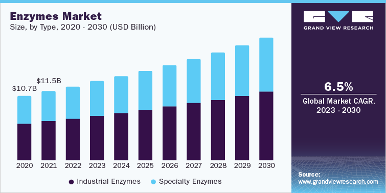 Image for Revolutionary Advances in Enzymes Industry Forecasted for 2023-2030 with ID of: 6008454