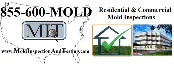 Image for Mold Inspection & Testing  |  MI&T with ID of: 601083