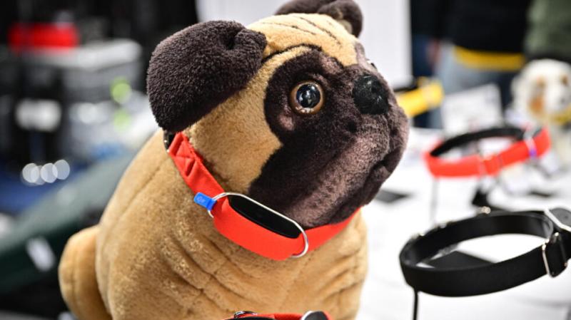 Image for Smart Connected Pet Collar Market Size and Forecast 2024-2032 with ID of: 6013578