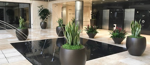 Image for Forever Green Interior Landscaping with ID of: 4630431
