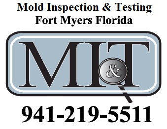 Image for Mold Inspection & Testing Fort Myers FL with ID of: 601420