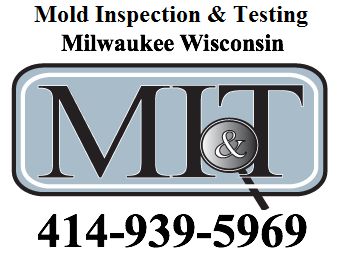 Image for Mold Inspection & Testing Milwaukee WI with ID of: 601594