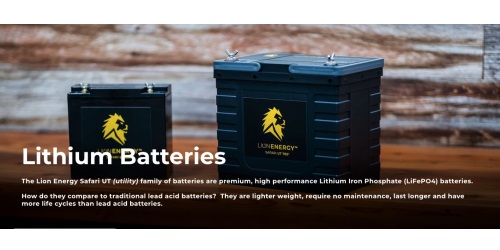 Image for Lion Energy with ID of: 4635582