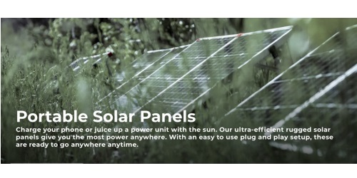 Image for Lion Energy with ID of: 4635584