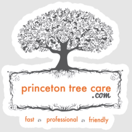 Image for Princeton Tree Care with ID of: 6019801