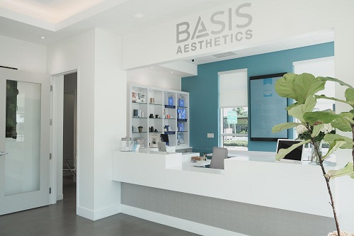 Image for Basis Aesthetics with ID of: 4641461