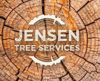 Image for Jensen Tree Services Ltd with ID of: 6020242