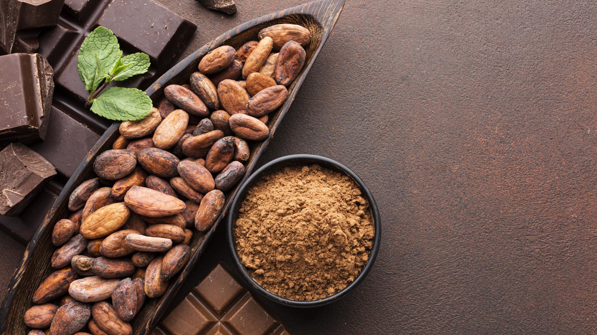 Image for Cocoa Bean Processing Plant Project Report 2024: Requirements and Cost Involved with ID of: 6021872