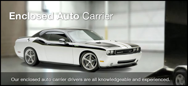Image for VIP Auto Shipping with ID of: 602204