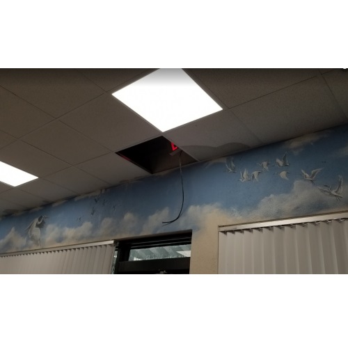 Image for Florida Acoustical Services with ID of: 4649816