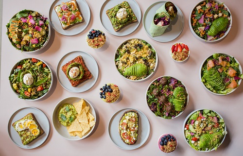 Image for Avocaderia with ID of: 4659489