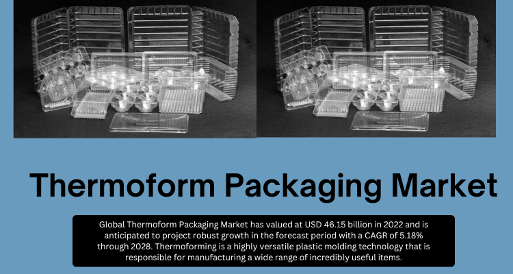 Image for Thermoform Packaging Market Analysis- Insights into Competitive Landscape with ID of: 6031562