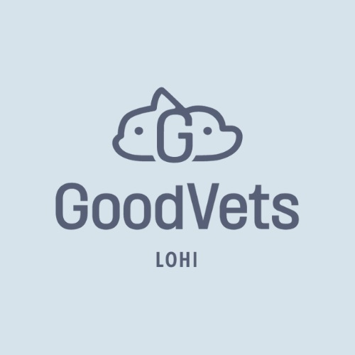 Image for GoodVets LoHi with ID of: 6031855