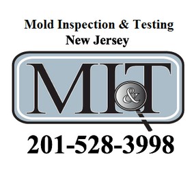 Image for Mold Inspection & Testing New Jersey with ID of: 603577