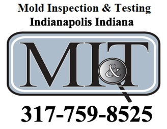 Image for Mold Inspection & Testing Indianapolis IN with ID of: 603608