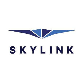 Image for Skylink with ID of: 6037817