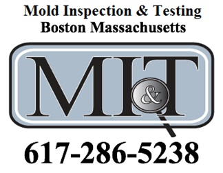 Image for Mold Inspection & Testing Boston MA with ID of: 603792