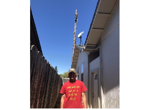 Image for Lone Oak Tree Service with ID of: 4676415