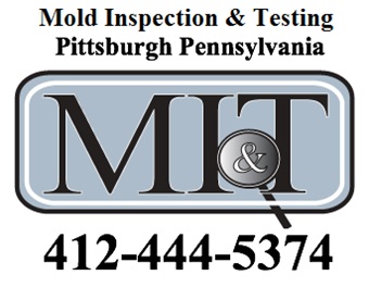 Image for Mold Inspection & Testing Pittsburgh PA with ID of: 603966
