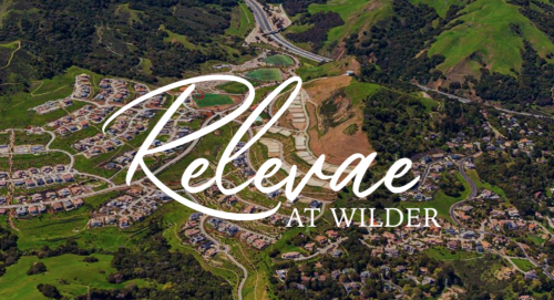 Image for Relevae with ID of: 4681304
