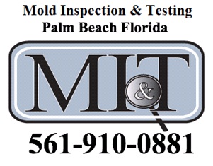 Image for Mold Inspection & Testing Palm Beach FL with ID of: 604064