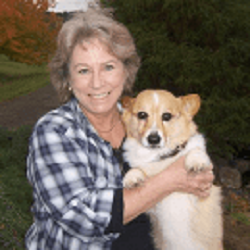 Image for Ark Animal Clinic with ID of: 4687718