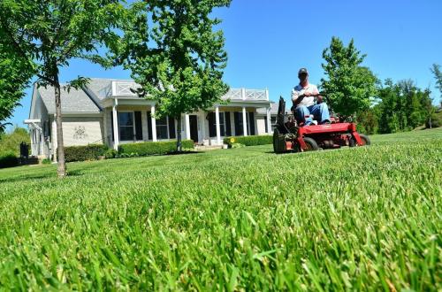 Image for Monster Lawn Care Plus with ID of: 4688763