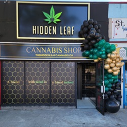 Image for Hidden Leaf Cannabis with ID of: 6045708