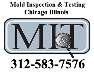 Image for Mold Inspection & Testing Chicago IL with ID of: 604599