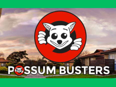 Image for Possum Busters - Possum Removal - Narraweena with ID of: 6047298