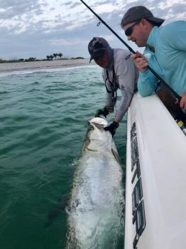 Image for Reelfishing Charters with ID of: 4697493
