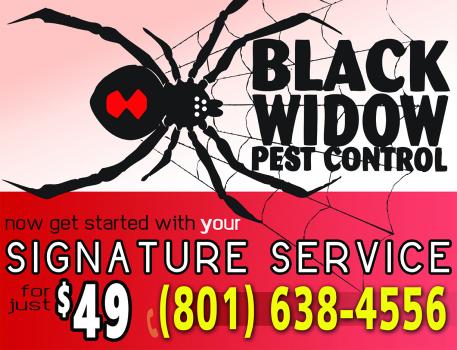 Image for Black Widow Pest Control with ID of: 4699687