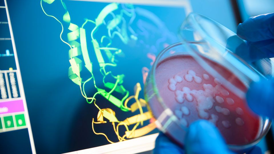 Image for Structural Biology & Molecular Modeling Techniques Market: Trajectory of Growth, Opportunities, and Forecast till 2029 with ID of: 6050081