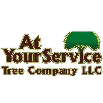 Image for At Your Service Tree Company LLC with ID of: 6052440