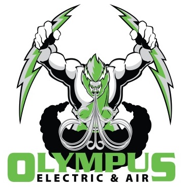 Image for Olympus Electric & Air with ID of: 6053398